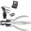 Wine Companion Gift Set (Silver)